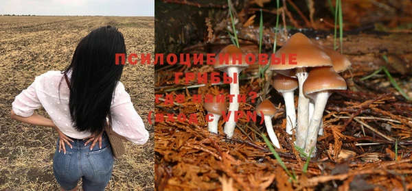 твердый Алзамай