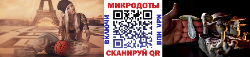продажа наркотиков  Ахтубинск  Псилоцибиновые грибы Magic Shrooms 