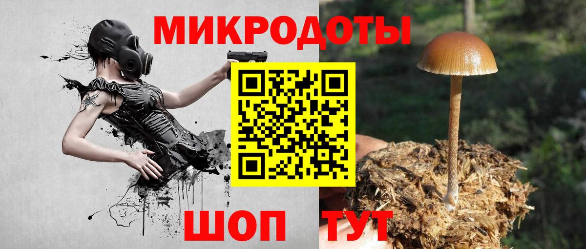 сколько стоит  Псилоцибиновые грибы Cubensis  Вход с VPN  Ахтубинск 