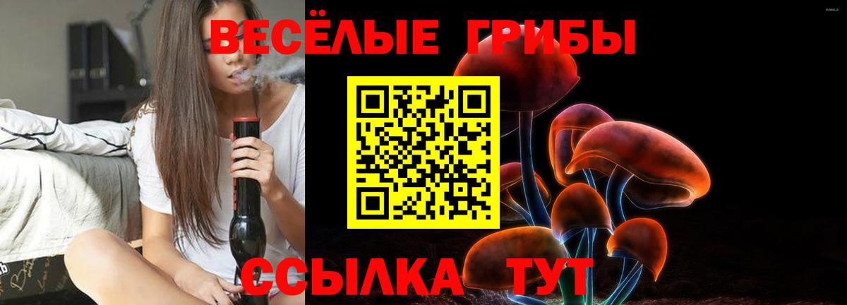 Галлюциногенные грибы ЛСД Ахтубинск